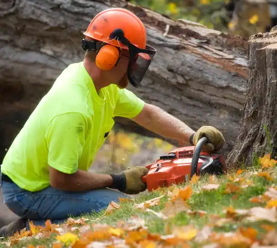 tree services Chestertown